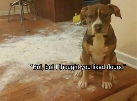 Funny Flours