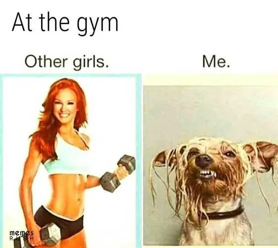 Funny Gym Other Girls