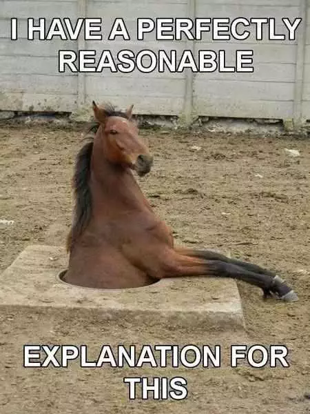 Funny Horse Reasonable