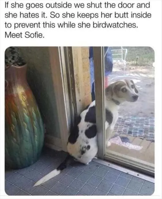 Funny If She Goesoutside