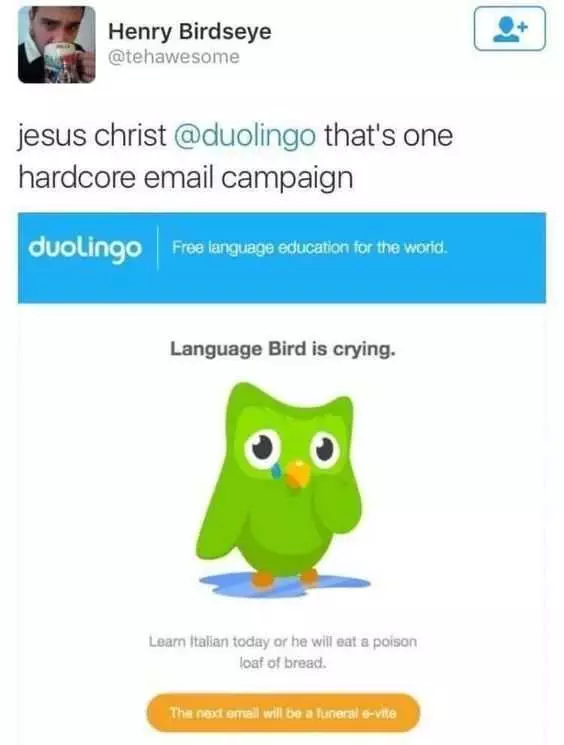 Funny Language Bird