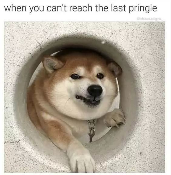 Funny Last Pringle
