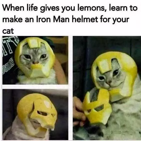 Funny Learn Iron Man