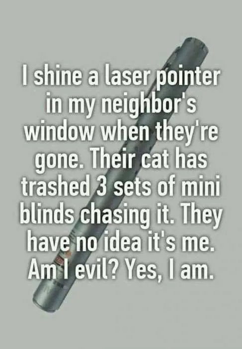Funny Mini Blinds