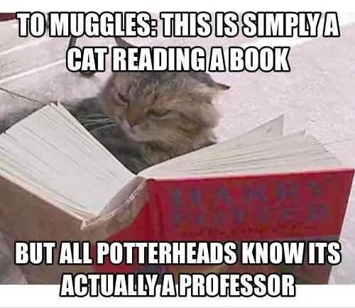 Funny Muggles Book