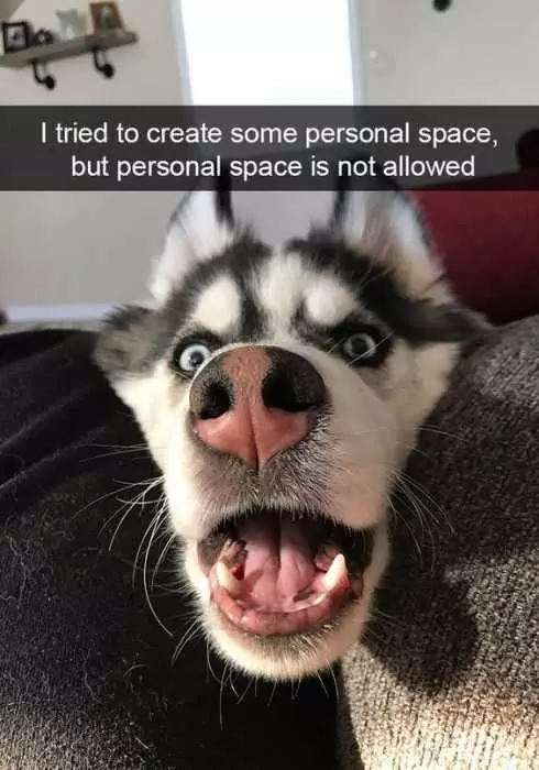 Funny Personal Space