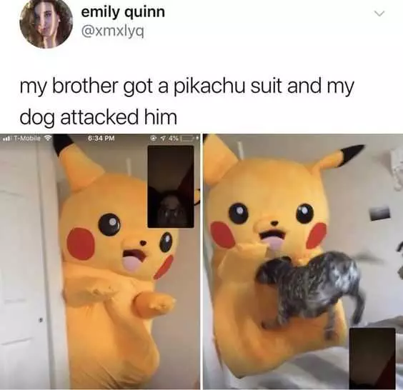 Funny Pikachu Dog Attack