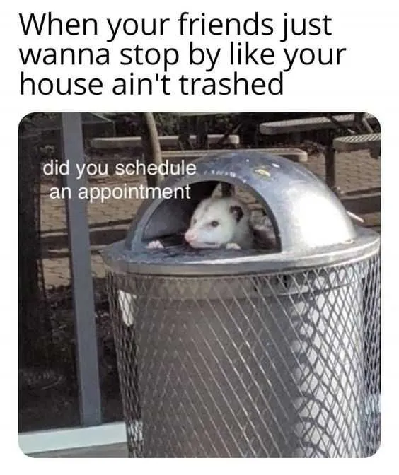Funny Possum Trash