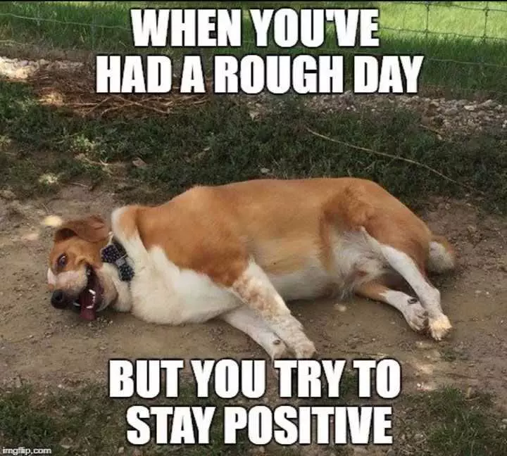 Funny Rough Day Try Positive
