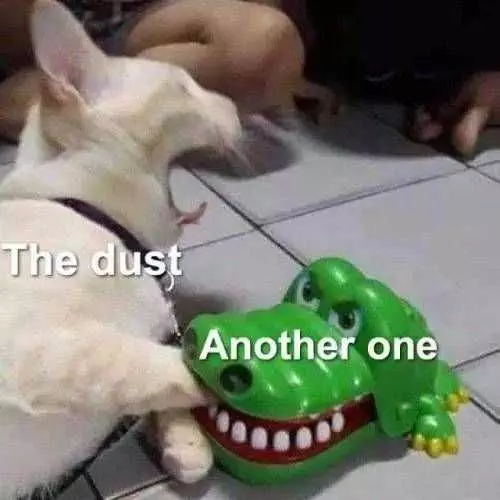 Funny The Dust