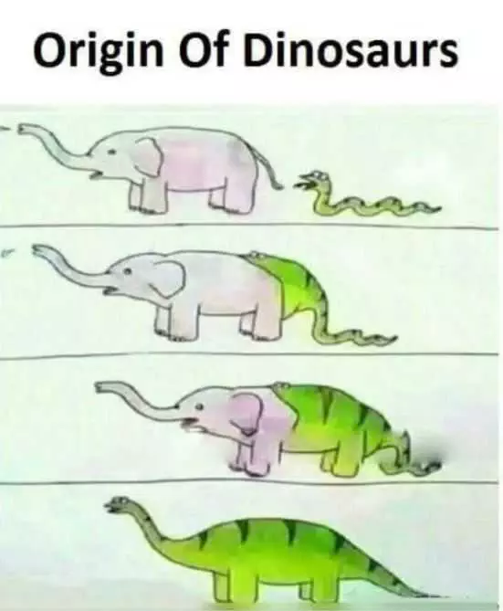 Pic Origin Dinos