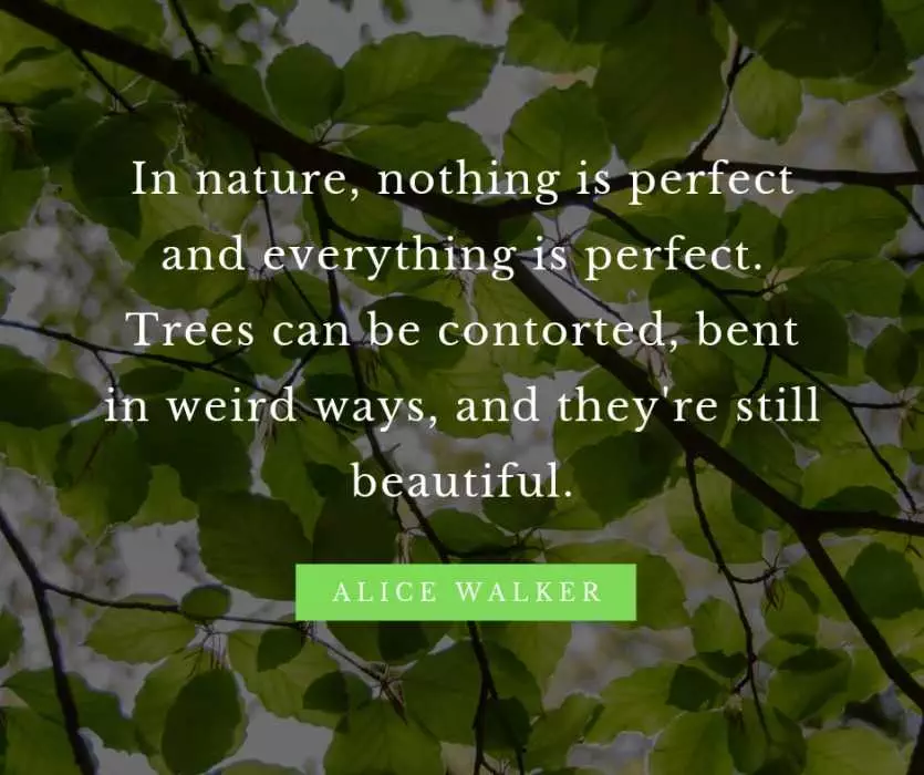 Inspiring Quotes About Nature And Beauty