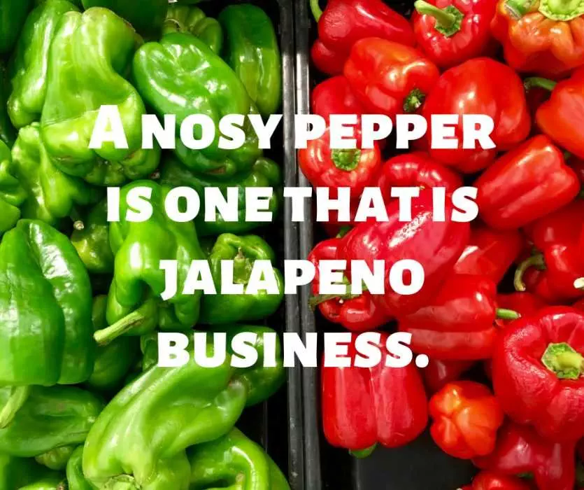 Quote Pepper