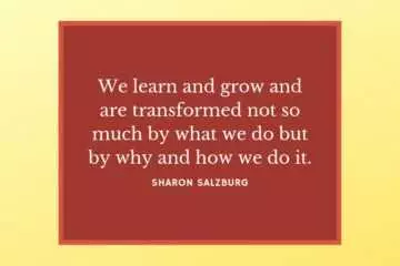 Quote We Learn