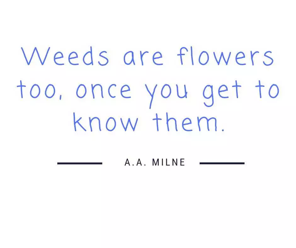 Weeds Are