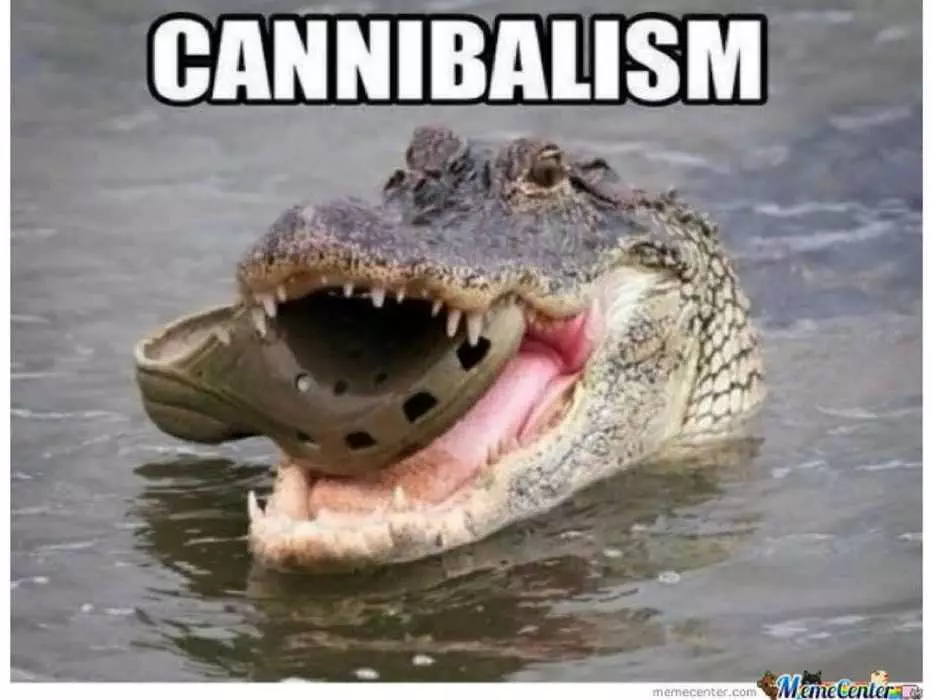 Animal Croc