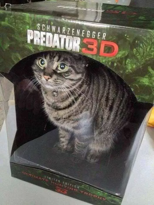 Animal Predator 3D