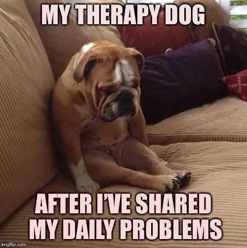 Animal Share Problems