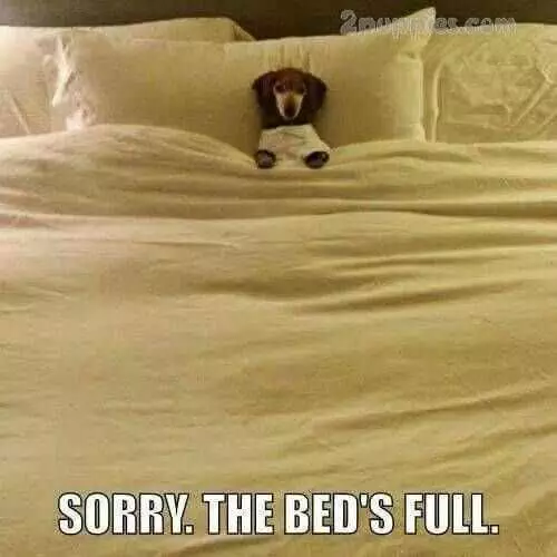 Funny Bed Full