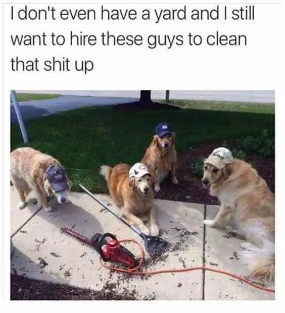 Funny Clean Up