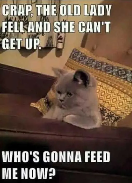 Funny Fell Off