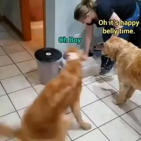 Funny Happy Belly
