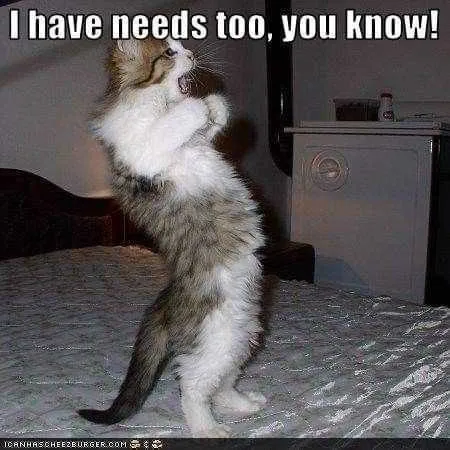 Funny Have Needs