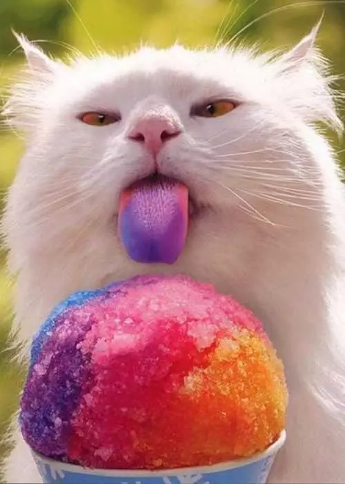 Funny Ice Cream Tongue