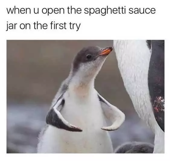 Funny Open Penguin