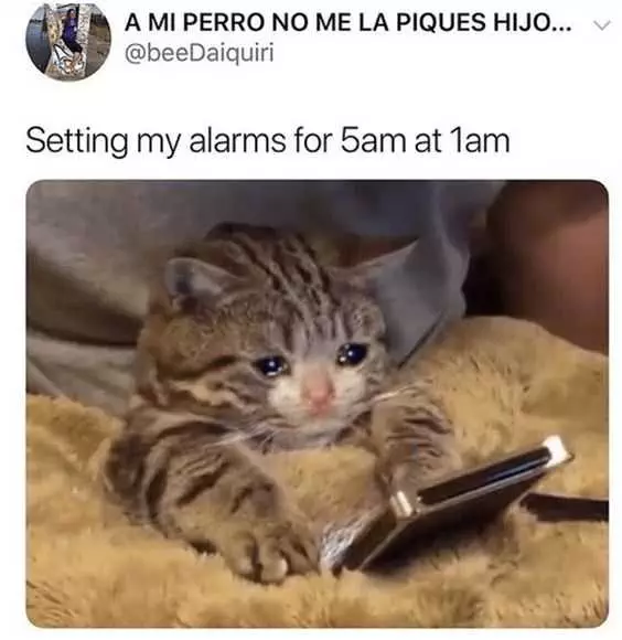 Funny Setting Alarms
