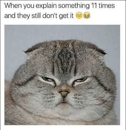 Funny Something They