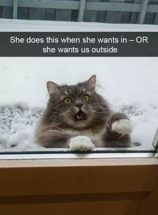 Funny Wants Outside