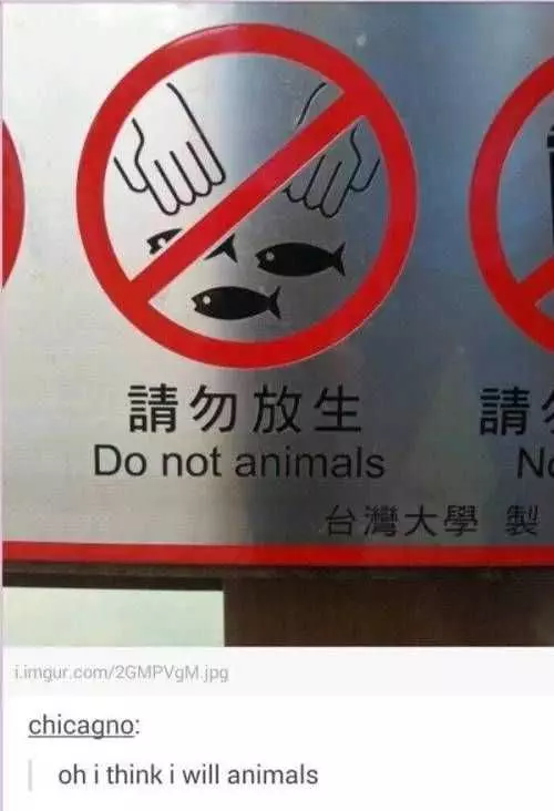Meme Do Not Animals