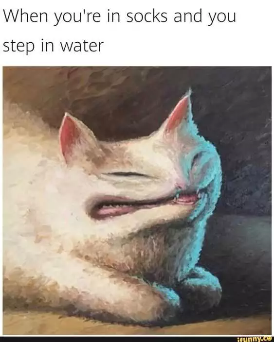 Meme Step In Water