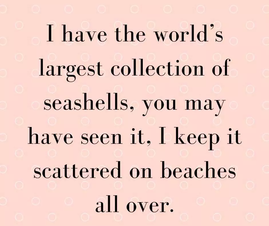 Quote Seashells