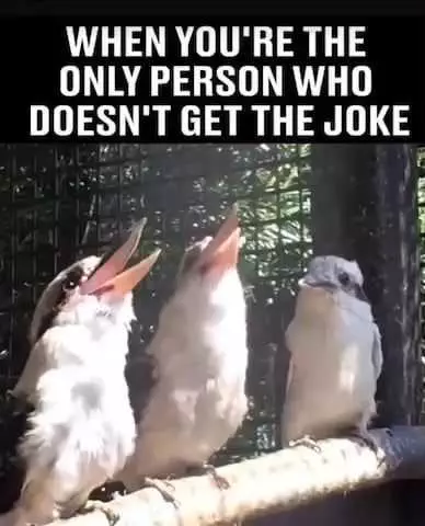 Animal Didnt Get Joke