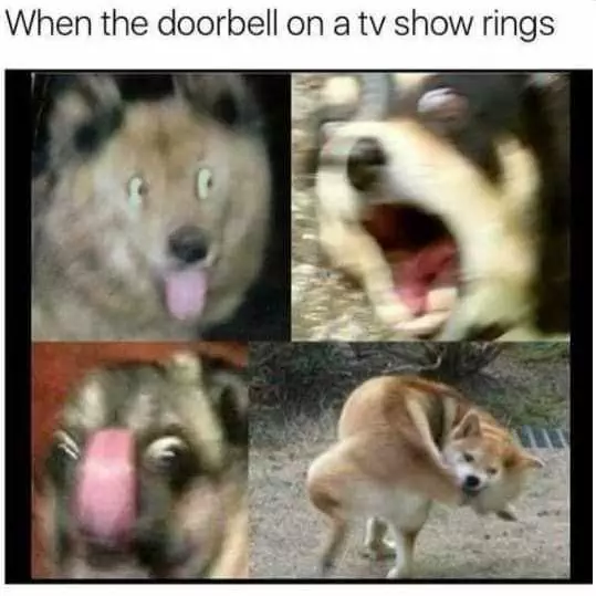 Animal Door Bell