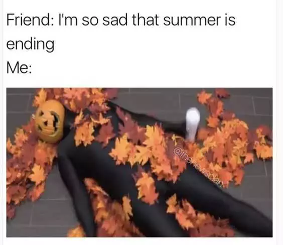 Fall Sad Summer