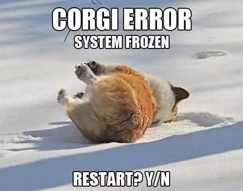 Fnny Corgi Frozen