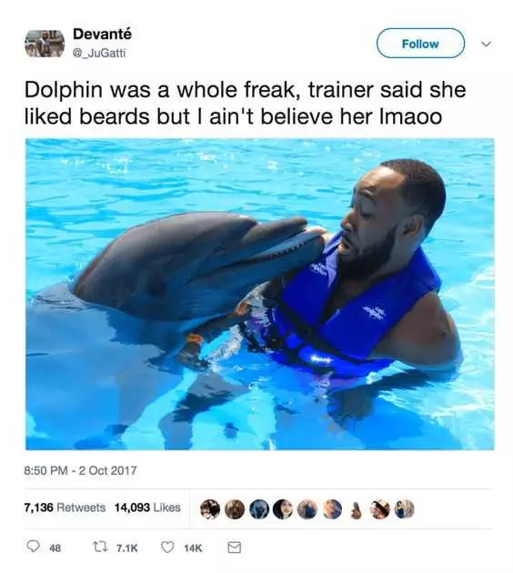 Funny Dolphin Beard