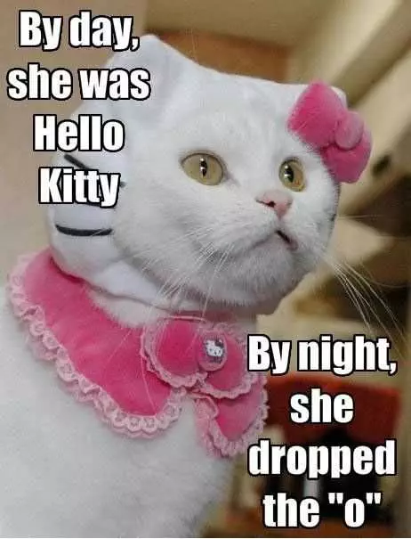 Funny Hello Kitty