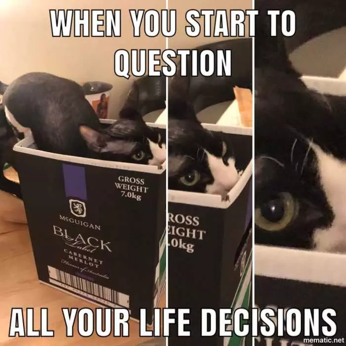 Funny Life Decisions