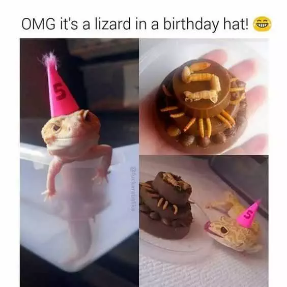 Funny Lizard Party Hat