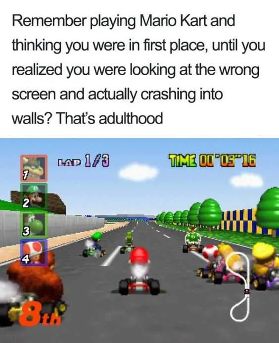 Funny Meme Adulthood