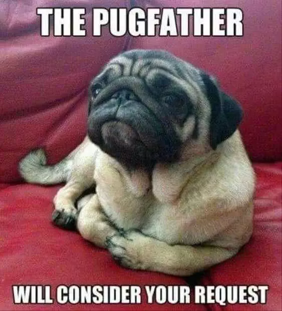 Funny Pugfather