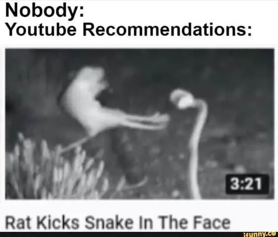 Funny Rat Snake