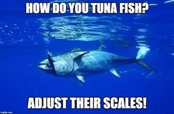 Funny Tuna Fish
