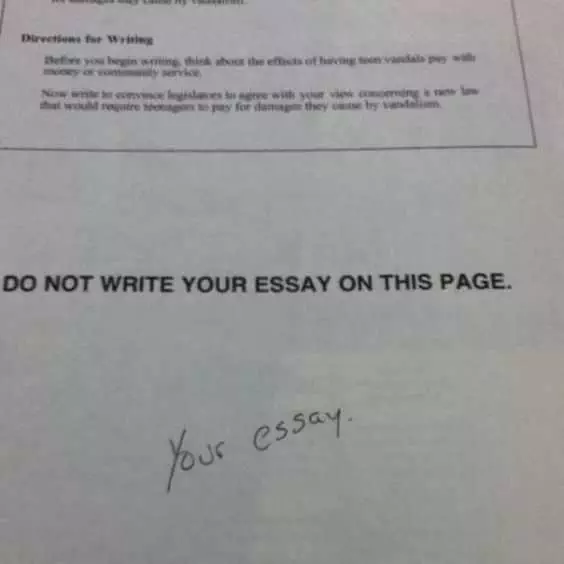 Funny Your Essay