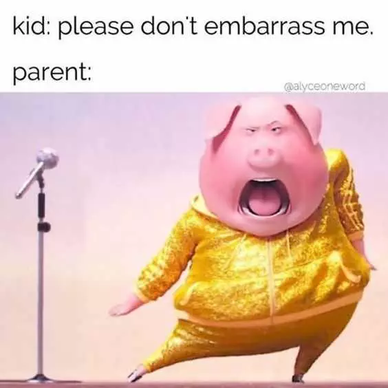 Meme Parents Embarass