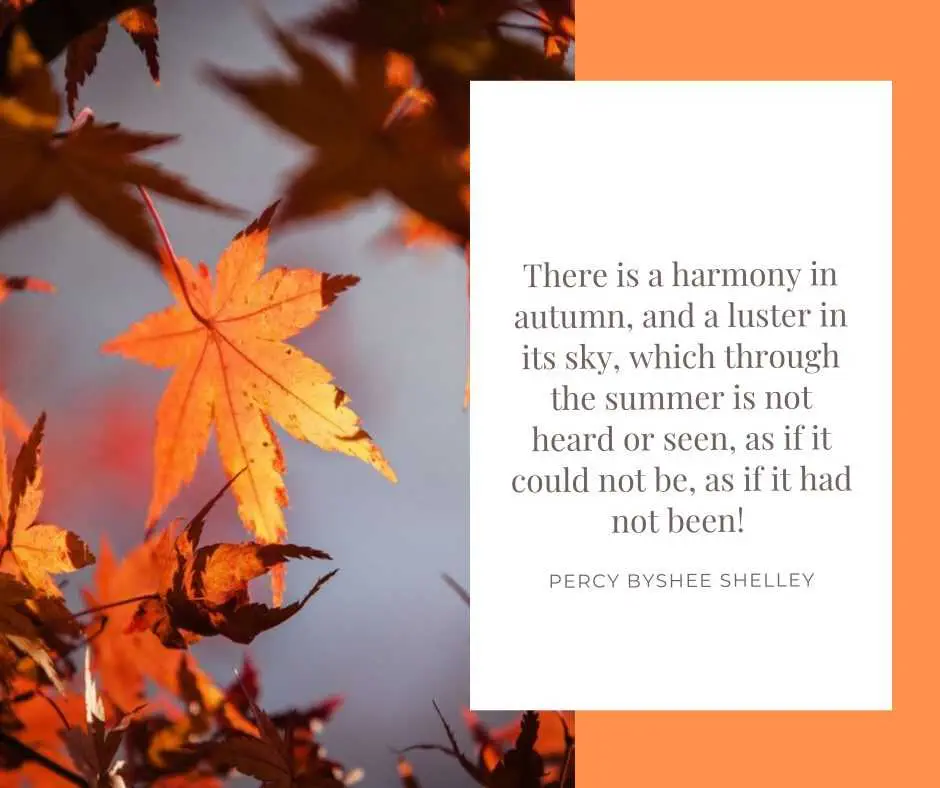 15 Lovely Quotes For Fall Lovers